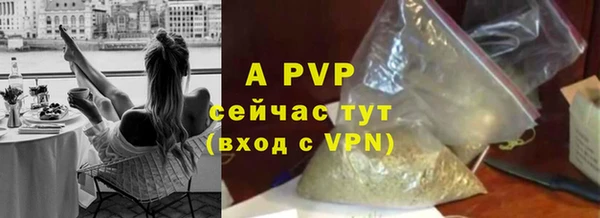 хмурый Козельск