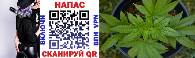 blacksprut ссылка  где купить   Сураж  Каннабис White Widow 